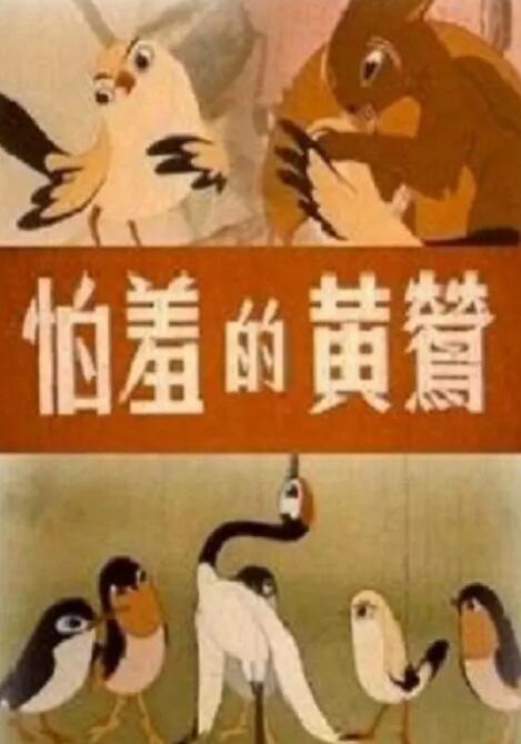 久久精品国产精品亚洲20